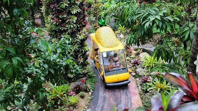 🍍 나고 파인애플 파크